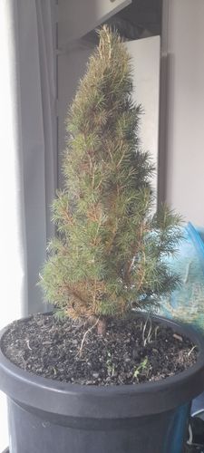 20241224_185917.jpg 20241224_185917.jpg