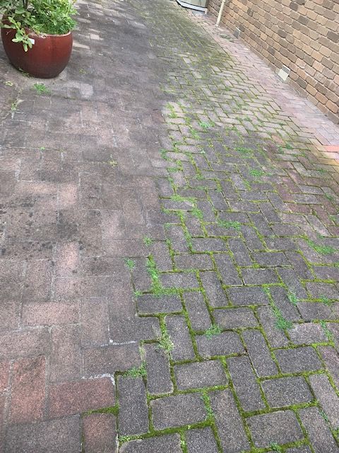 IMG_7856.jpg IMG_7856.jpg