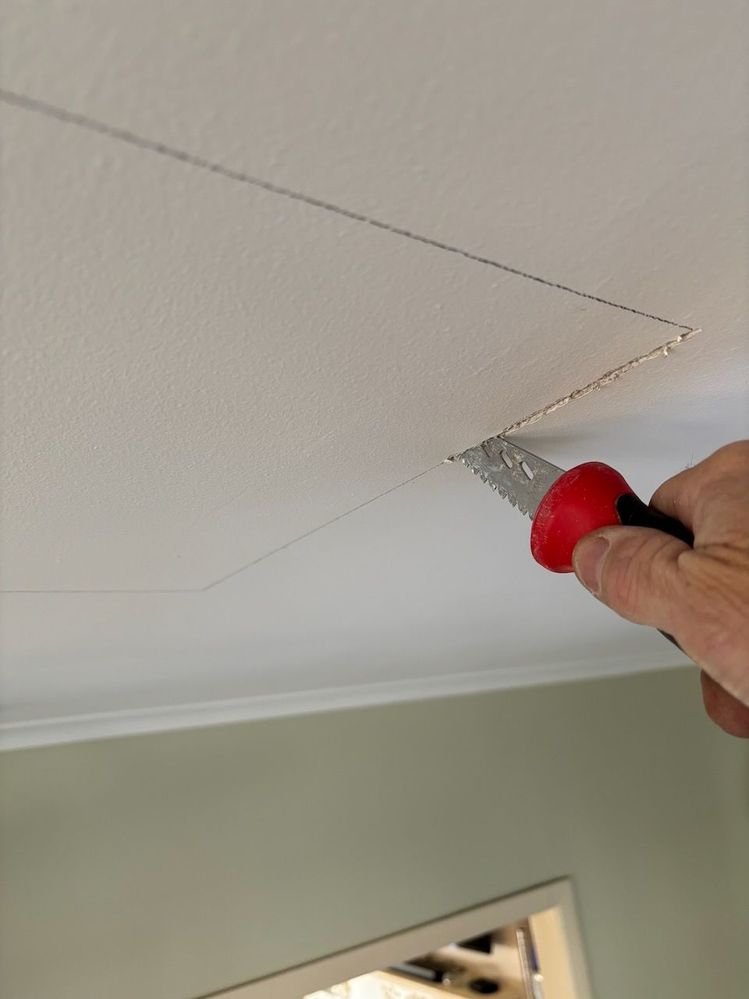 IMG_8229.jpeg IMG_8229.jpeg