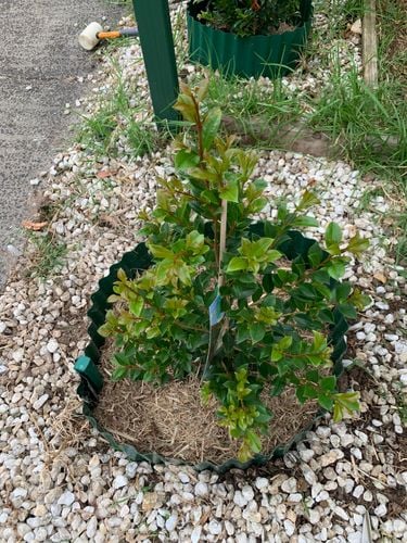 C5BD2E4C-B69A-4E6C-93D3-FA5AA2F4708F.jpeg C5BD2E4C-B69A-4E6C-93D3-FA5AA2F4708F.jpeg