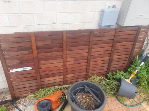 20210107_070326.jpg 20210107_070326.jpg