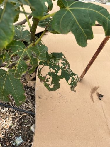 IMG_1276.jpeg IMG_1276.jpeg