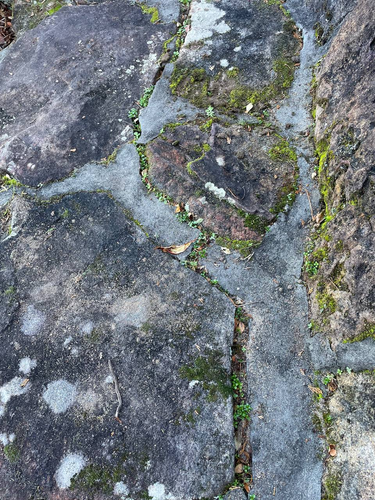 terrywang_1-1687228989178.png terrywang_1-1687228989178.png