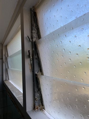 IMG_5158.jpeg IMG_5158.jpeg