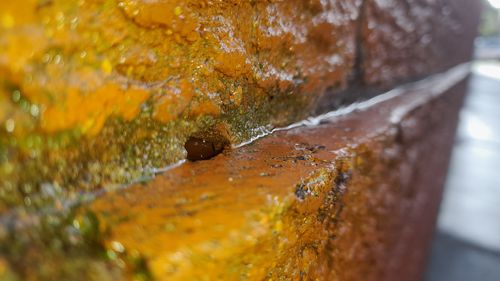 20220704_124130.jpg 20220704_124130.jpg