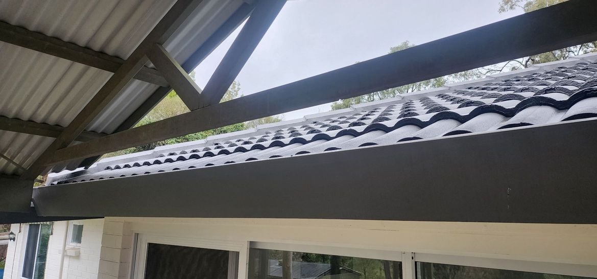 20250701_115804.jpg 20250701_115804.jpg