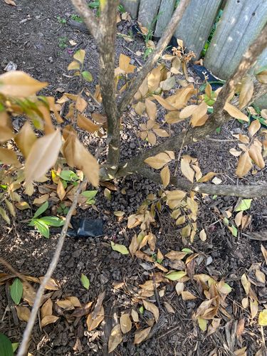 37556812-6F3A-4094-BF9B-A9F27ADD6AA1.jpeg 37556812-6F3A-4094-BF9B-A9F27ADD6AA1.jpeg