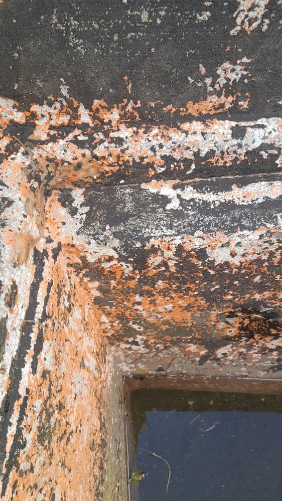 20230909_095132.jpg 20230909_095132.jpg