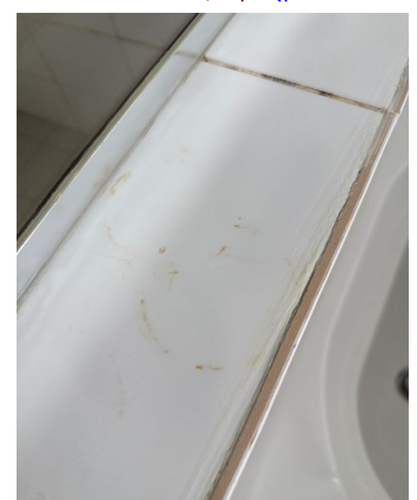 mccarthyelaine7_3-1741931366609.png mccarthyelaine7_3-1741931366609.png