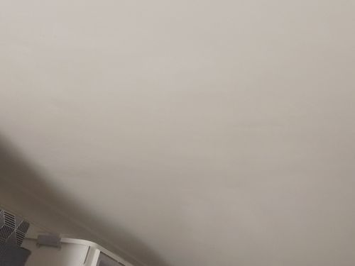 IMG_20250315_121930.jpg IMG_20250315_121930.jpg