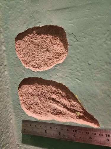 20230124_220118.jpg 20230124_220118.jpg