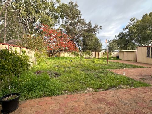 IMG_3582.jpeg IMG_3582.jpeg