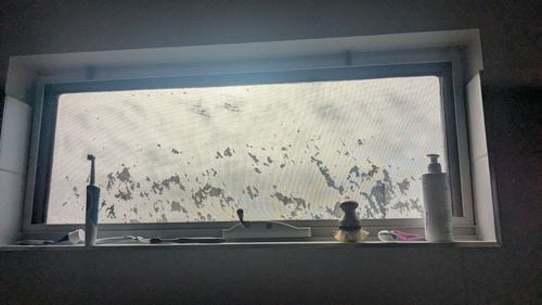 1000014077.jpg 1000014077.jpg