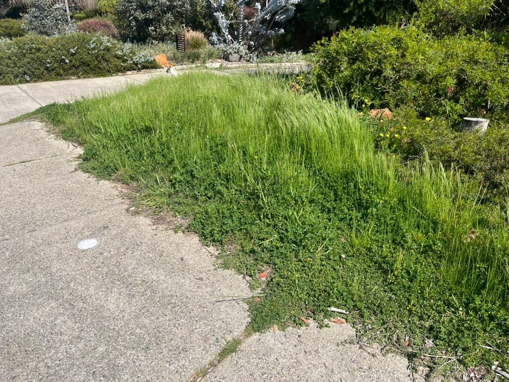 6D960307-F329-49FE-A674-678929E31593_1_105_c.jpeg 6D960307-F329-49FE-A674-678929E31593_1_105_c.jpeg