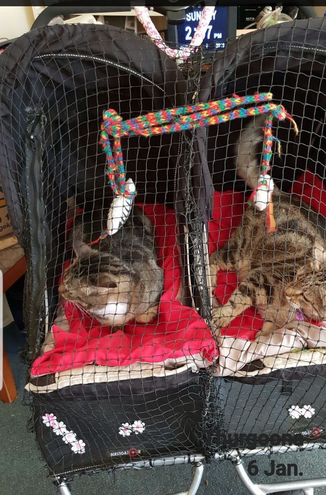 20190602_225755.jpg 20190602_225755.jpg