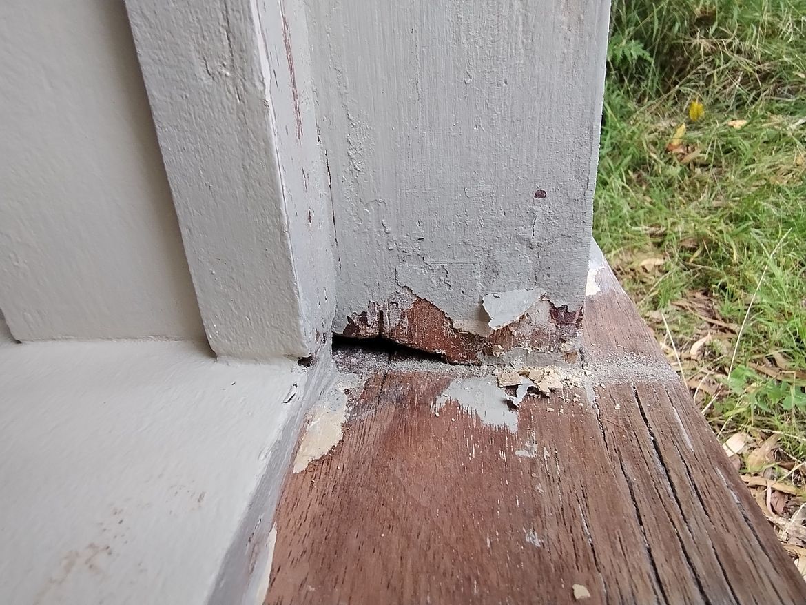 IMG_20250101_164914471.jpg IMG_20250101_164914471.jpg