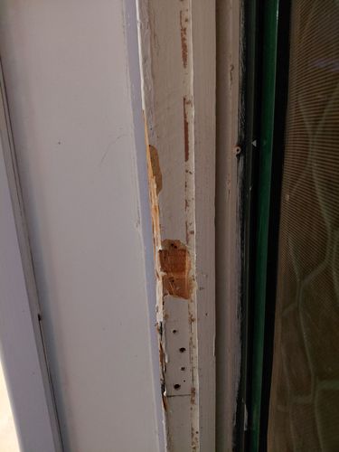 1000002798.jpg 1000002798.jpg