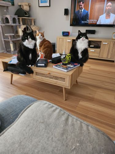 20230716_123701.jpg 20230716_123701.jpg