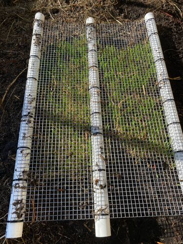 IMG_1045.jpeg IMG_1045.jpeg