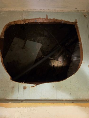 20250426_114834.jpg 20250426_114834.jpg