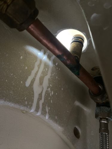 IMG_5614.jpeg IMG_5614.jpeg