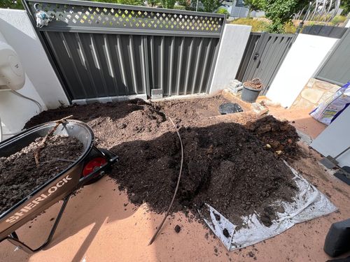 IMG_8675.jpeg IMG_8675.jpeg