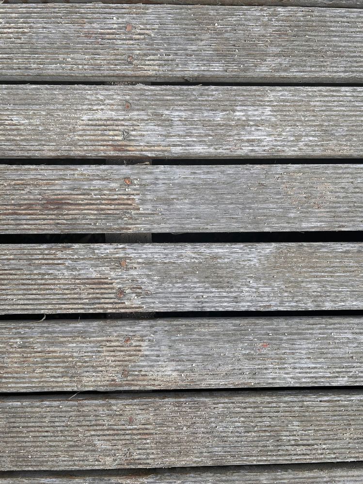 IMG_3878.jpg IMG_3878.jpg