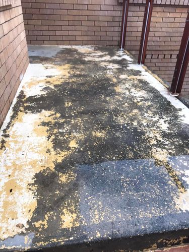 14 12-08-2023.jpg 14 12-08-2023.jpg