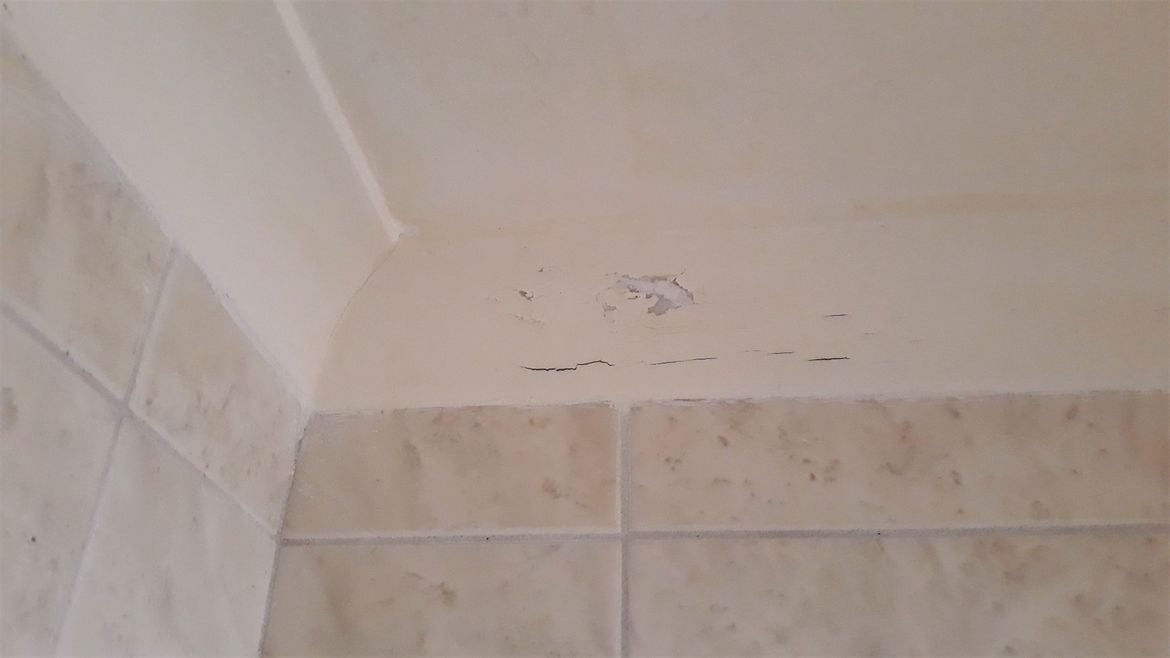 Cracking & flaking.jpg Cracking & flaking.jpg