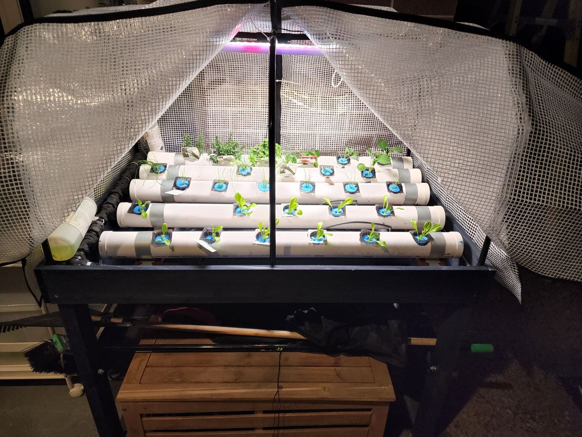 20220728_183538.jpg 20220728_183538.jpg