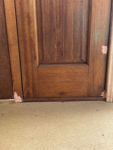 IMG_0696.jpeg IMG_0696.jpeg