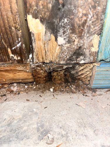 IMG_5032.jpeg IMG_5032.jpeg