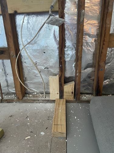 IMG_6587.jpeg IMG_6587.jpeg