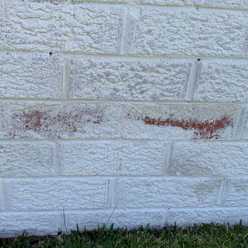 262A2586-701E-47AD-B35C-FFFBEA4145A1.jpeg 262A2586-701E-47AD-B35C-FFFBEA4145A1.jpeg