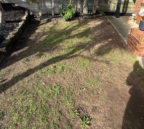 IMG_2441.jpeg IMG_2441.jpeg