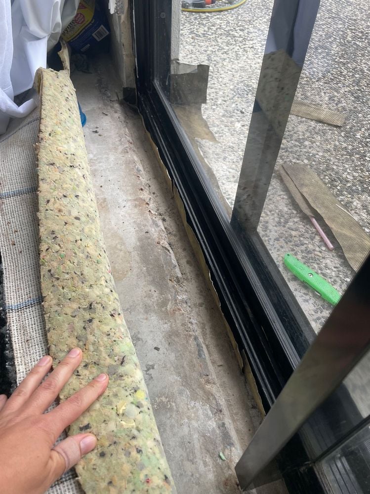 IMG_8420.jpg IMG_8420.jpg