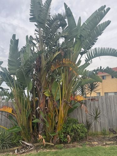 IMG_1413.jpeg IMG_1413.jpeg