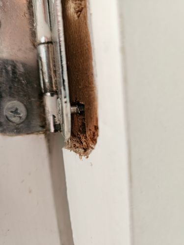 1000030770.jpg 1000030770.jpg