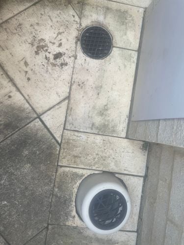 IMG_0305.jpeg IMG_0305.jpeg