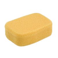 Sponge1.jpg Sponge1.jpg