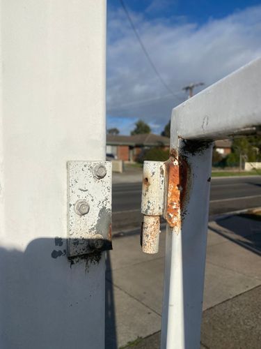 IMG_9395.jpeg IMG_9395.jpeg