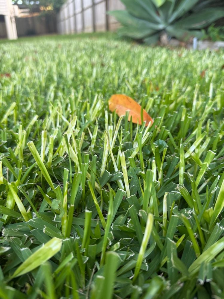 IMG_1129.jpeg IMG_1129.jpeg