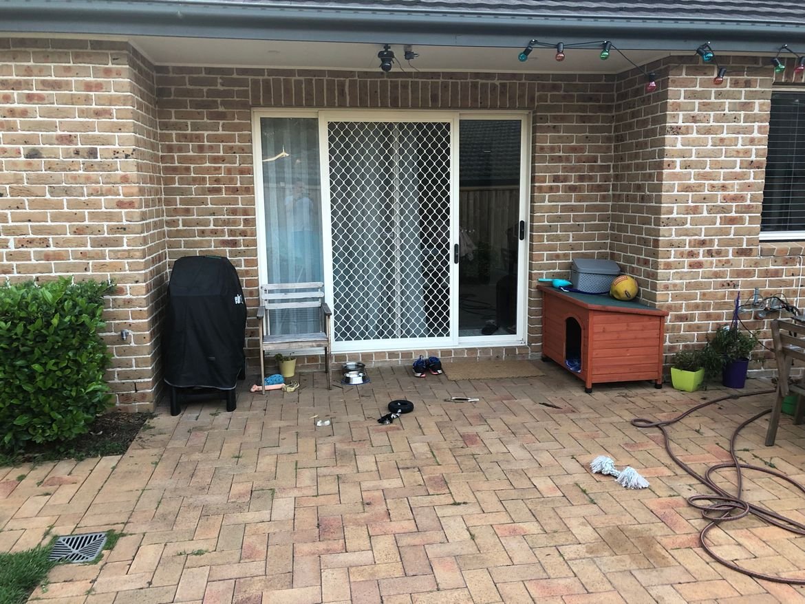 IMG_3554.jpeg IMG_3554.jpeg