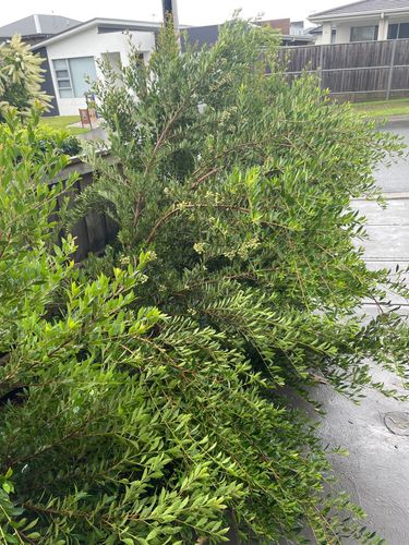 IMG_8229.jpeg IMG_8229.jpeg