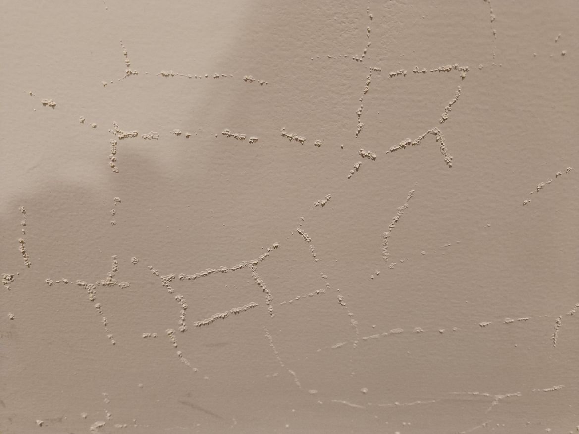 IMG20240722220341.jpg IMG20240722220341.jpg