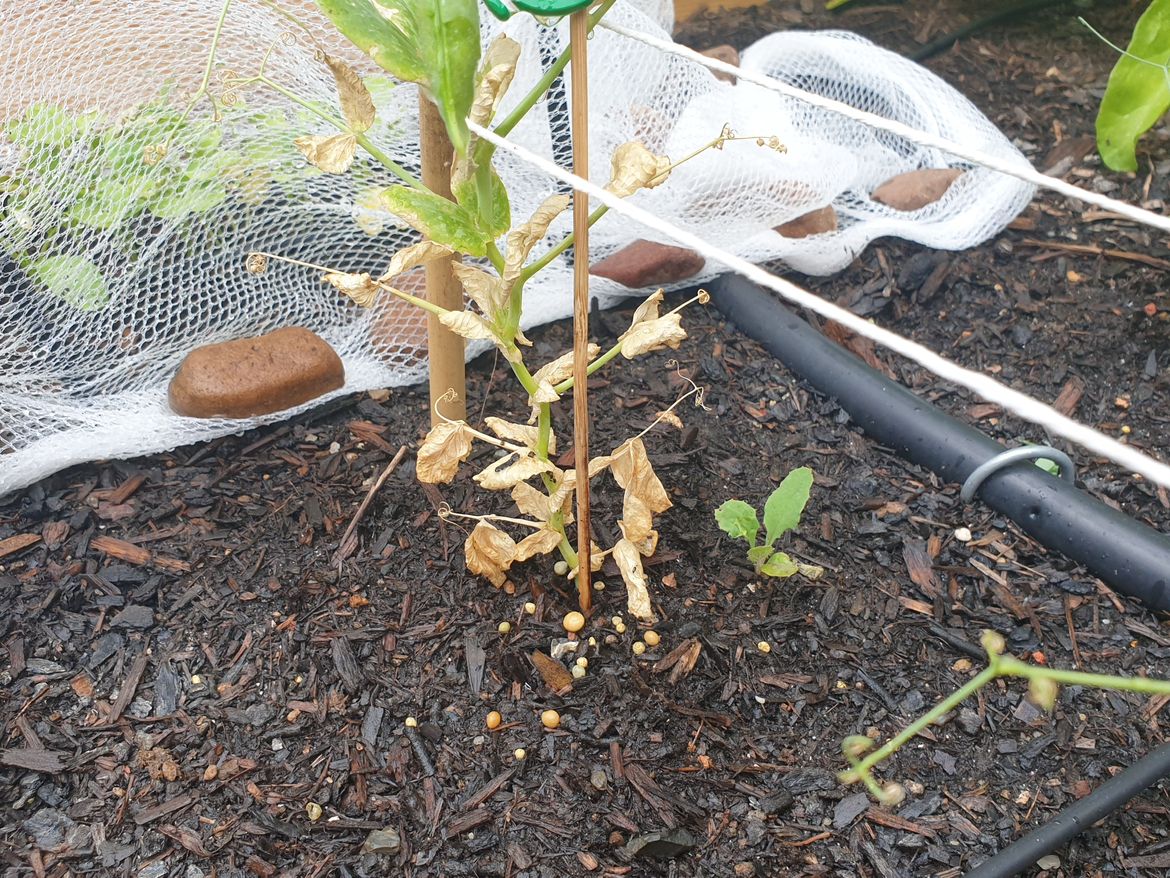 20231205_105843.jpg 20231205_105843.jpg