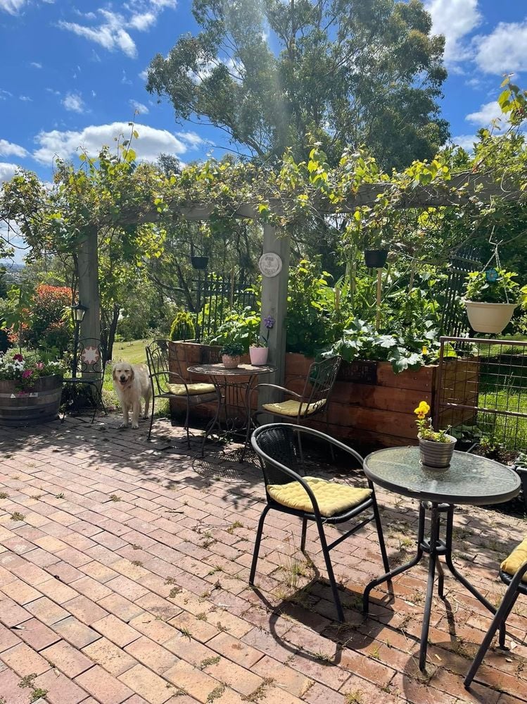 8A326742-B942-42E2-9B07-ECF2E7E64E15.jpeg 8A326742-B942-42E2-9B07-ECF2E7E64E15.jpeg