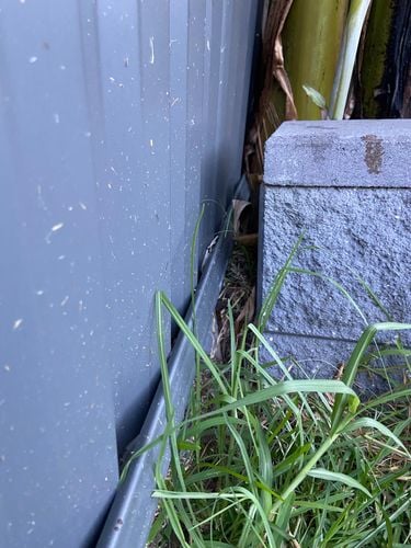 C323350F-36B4-4FC6-9161-D258AC417C52.jpeg C323350F-36B4-4FC6-9161-D258AC417C52.jpeg