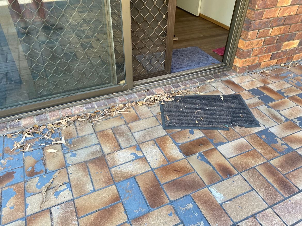 IMG_5928.jpg IMG_5928.jpg