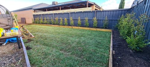 IMG-20200910-WA0002.jpg IMG-20200910-WA0002.jpg